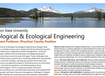 BEE Assistant Professor Faculty Position