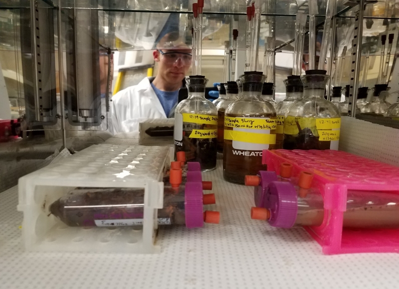 student looking into a storage unit of samples